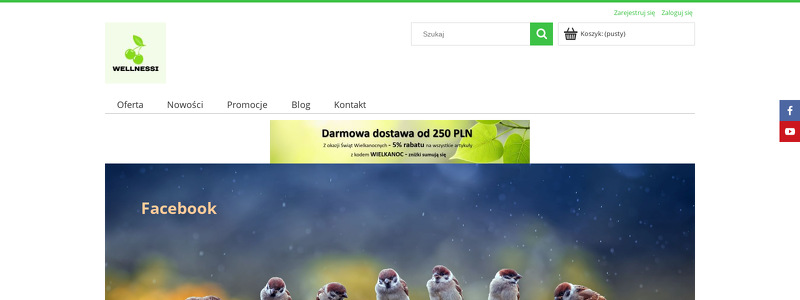 WELLNESSI ELŻBIETA GIEGIEL-KOCISZEWSKA