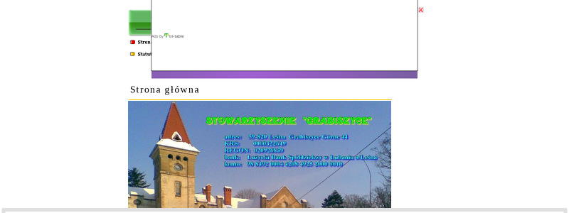 STOWARZYSZENIE GRABISZYCE