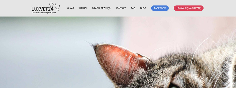 LECZNICA WETERYNARYJNA 