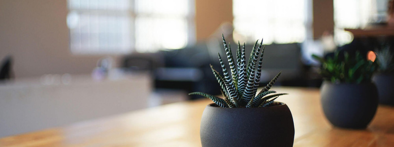 EASY DESIGN SP Z O O