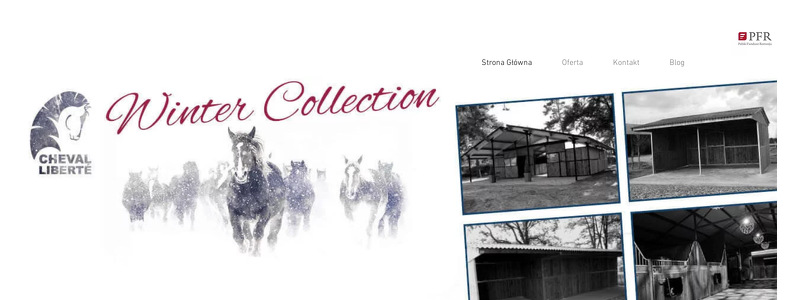 CLD SPÓŁKA Z OGRANICZONĄ ODPOWIEDZIALNOŚCIĄ