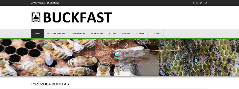 BUCKFAST FIŁKOWSKI EDWARD